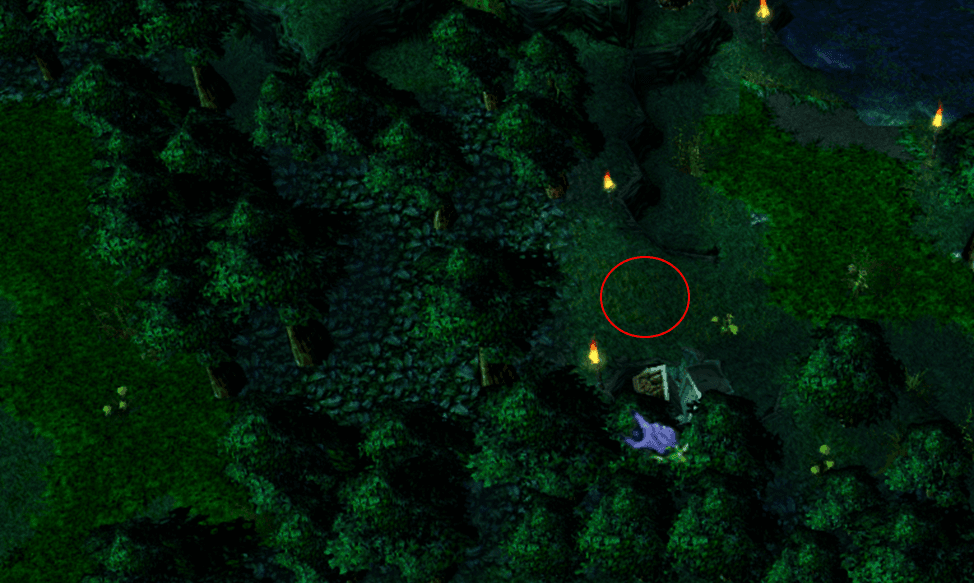 Elevations and Pathways