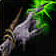 Poison Touch